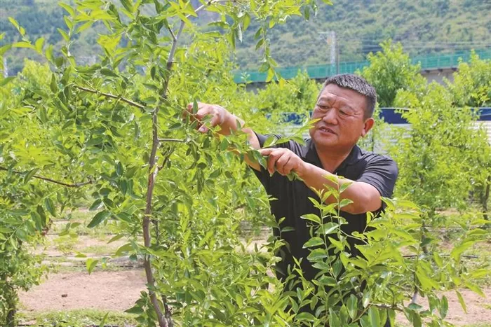 樊学东的生态农业经