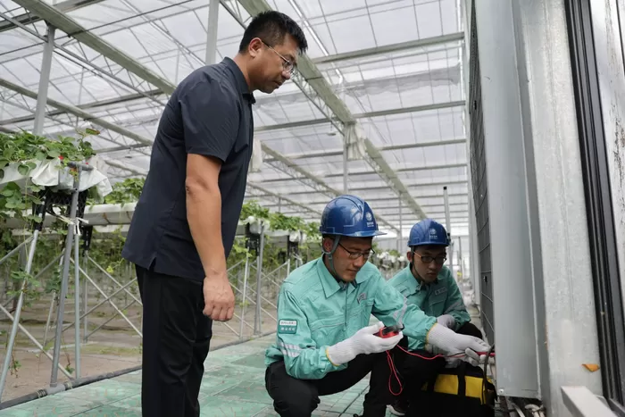 潍坊安丘：一度电激活乡村发展新质生产力
