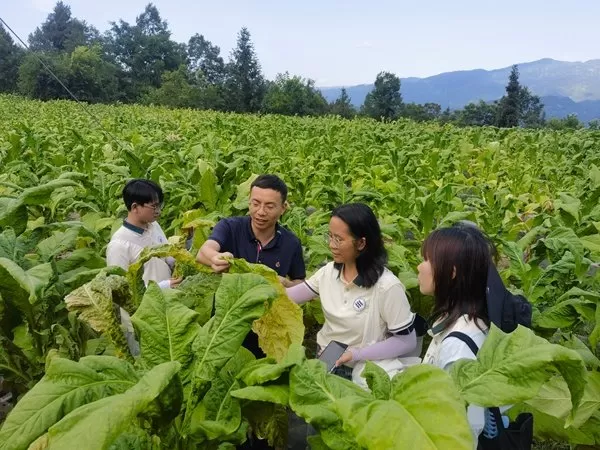 重庆文理学院：深耕山地特色农业智绘乡村振兴图景