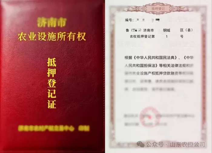 济南首笔农业设施抵押融资贷款业务成功落地