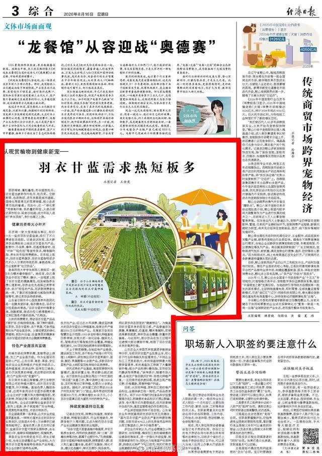 【媒体看高密咸家】央媒推介万亩园，聚力打造共富田