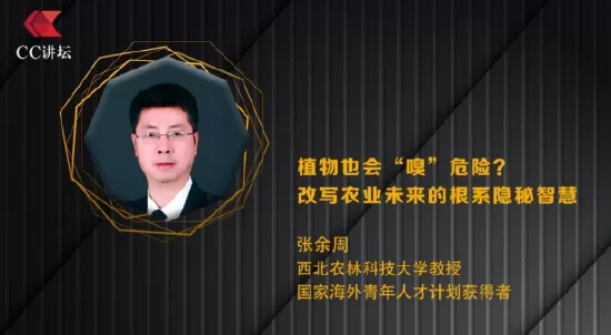 张余周：植物也会“嗅”到危险？改写农业未来的根系隐秘智慧