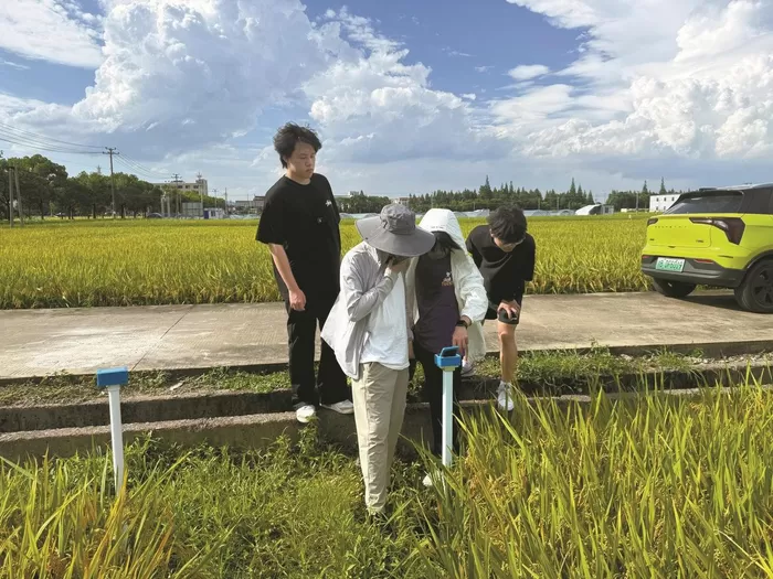 让数智技术真正扎根乡土