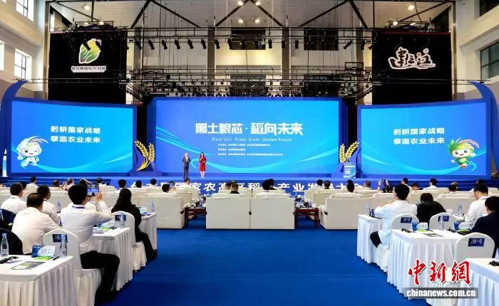 聚焦寒地稻米全链升级 中外专家三江平原共话农业新质生产力