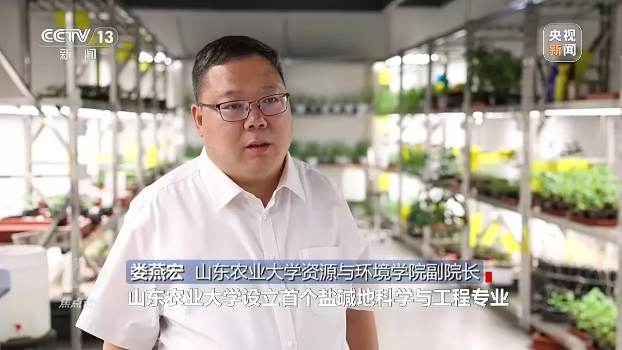 焦点访谈丨高校涉农专业“上新” 为现代农业培育复合型人才