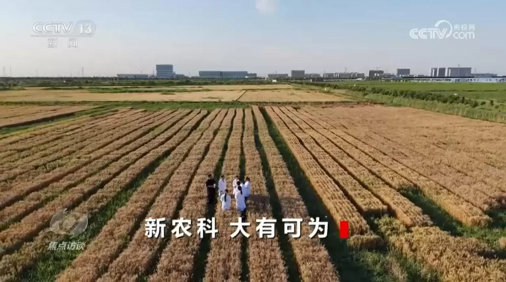 焦点访谈｜专业“上新” 新农科瞄准农业需求育栋梁