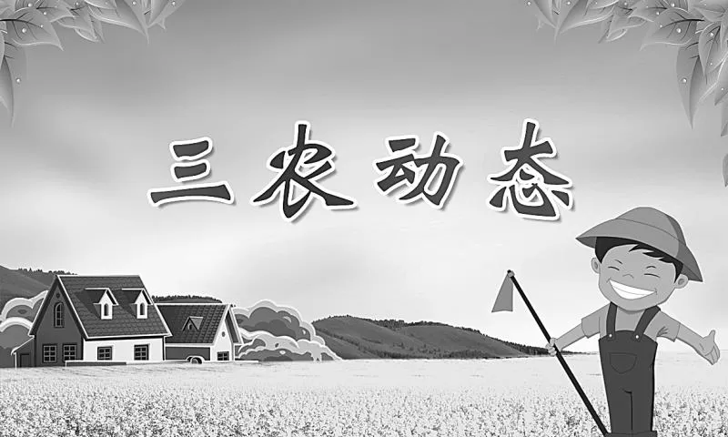 现代农业智慧管护 葡萄飘香喜迎丰收