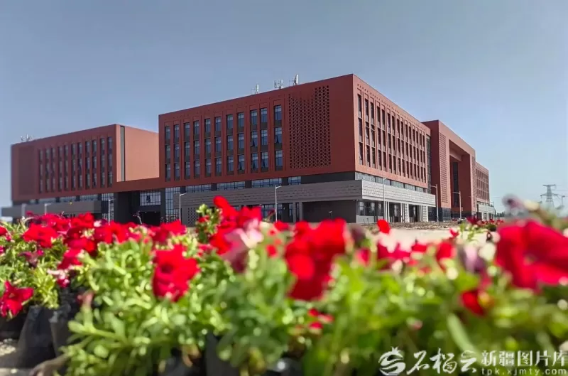 新疆大学喀什校区校园一角。图片由新疆大学提供