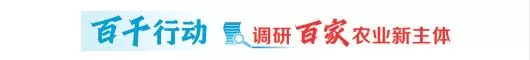 让年轻人成为现代农业新主力