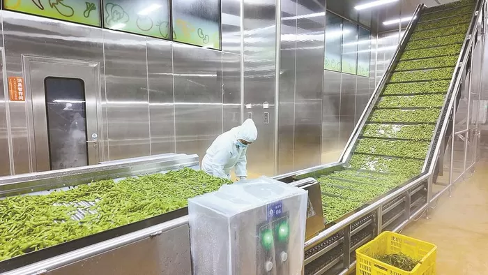 水柠檬农业科技产销两旺增长快
