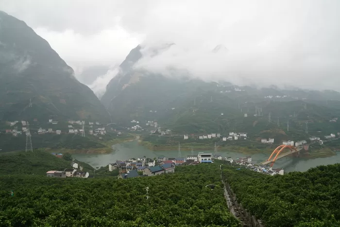 活力中国调研行丨智慧农业助力秭归脐橙品牌做强